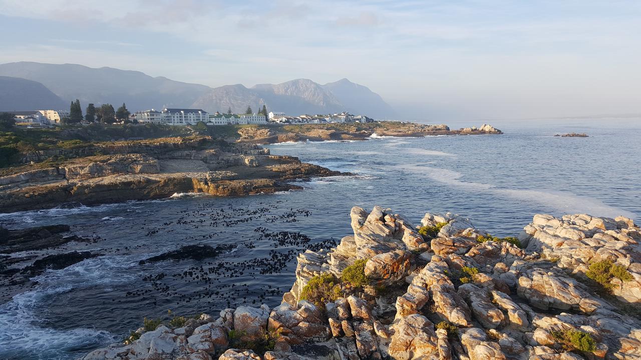 Smuts Ave. Guest Rooms Hermanus Esterno foto
